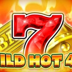 WILD HOT 40 game thumbnail